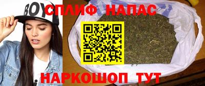 хмурый Новозыбков