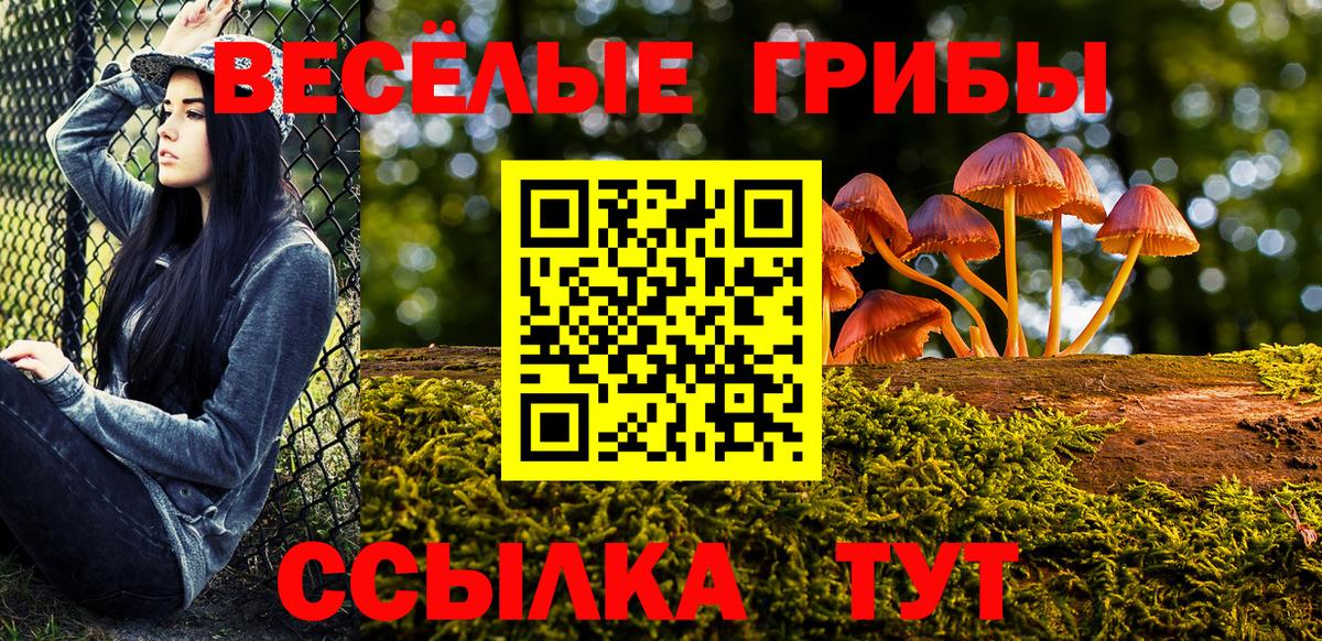 Псилоцибиновые грибы ЛСД  даркнет сайт  Славянск-на-Кубани  Вход с VPN 