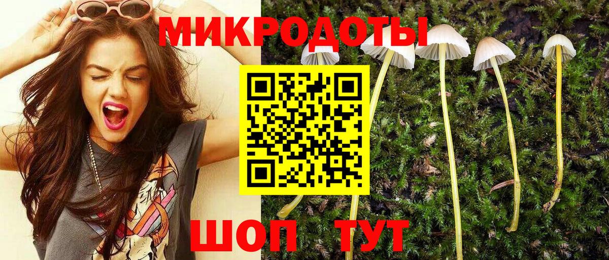 Галлюциногенные грибы Psilocybe Славянск-на-Кубани